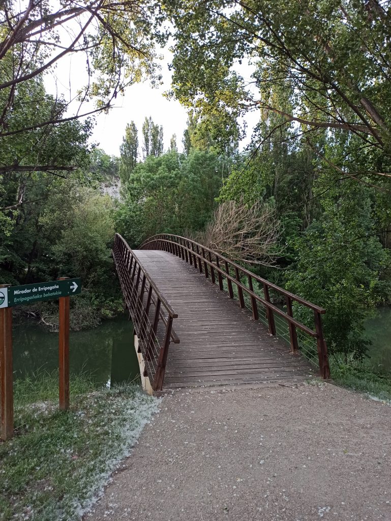 Foto camino Pamplona