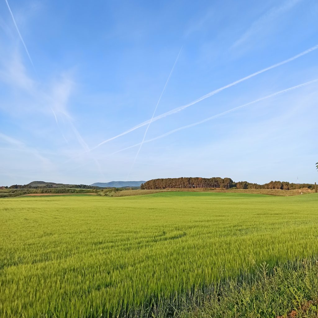 Paisaje de la etapa de Logroño a Nájera 